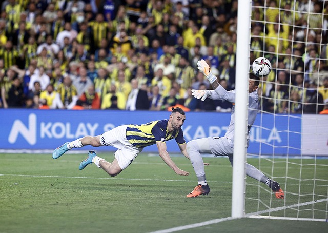 明星球员 明星球员