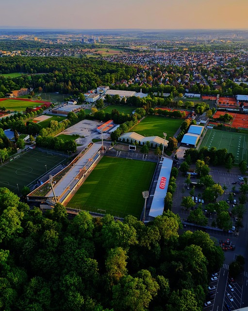 日渐显露的 日渐显露的