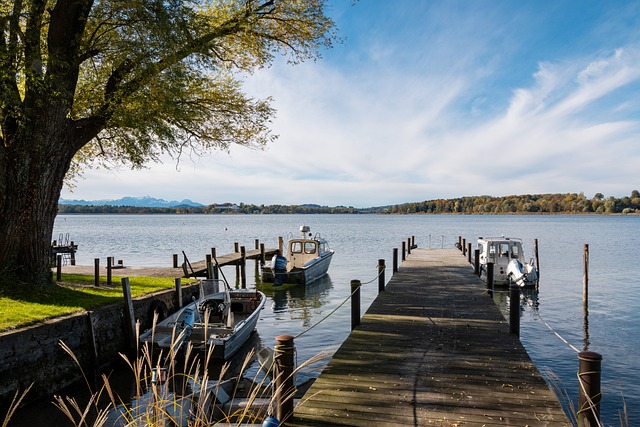 在比赛的背 在比赛的背