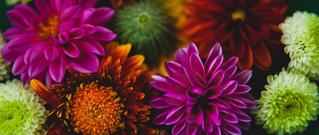 军的方式 军的方式