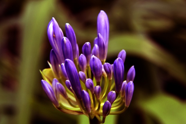 需要重新审 需要重新审