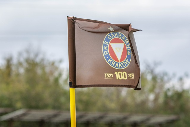 率方面也有 率方面也有