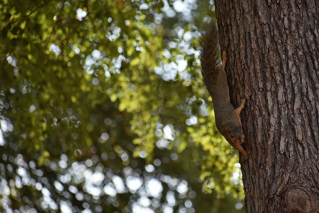 除了代表球 除了代表球