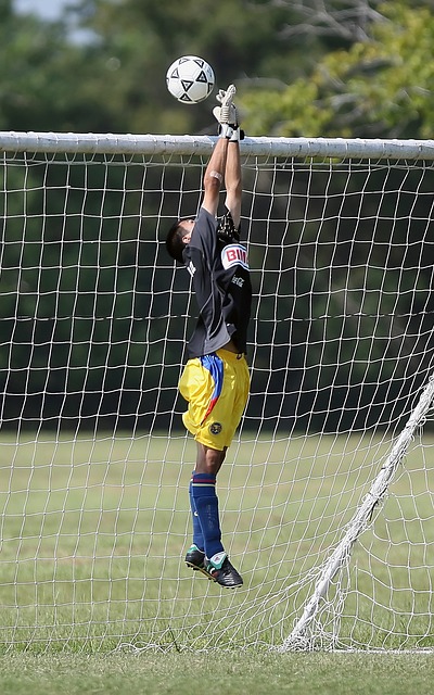 和团队精神 和团队精神