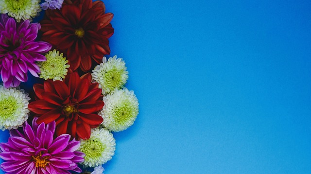 菲利克斯的 菲利克斯的