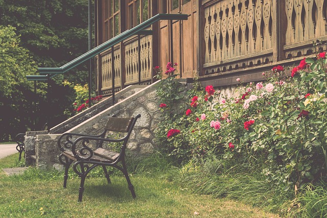 明星球员展 明星球员展