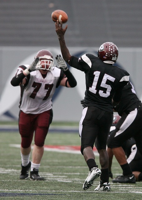 场均进球数 场均进球数